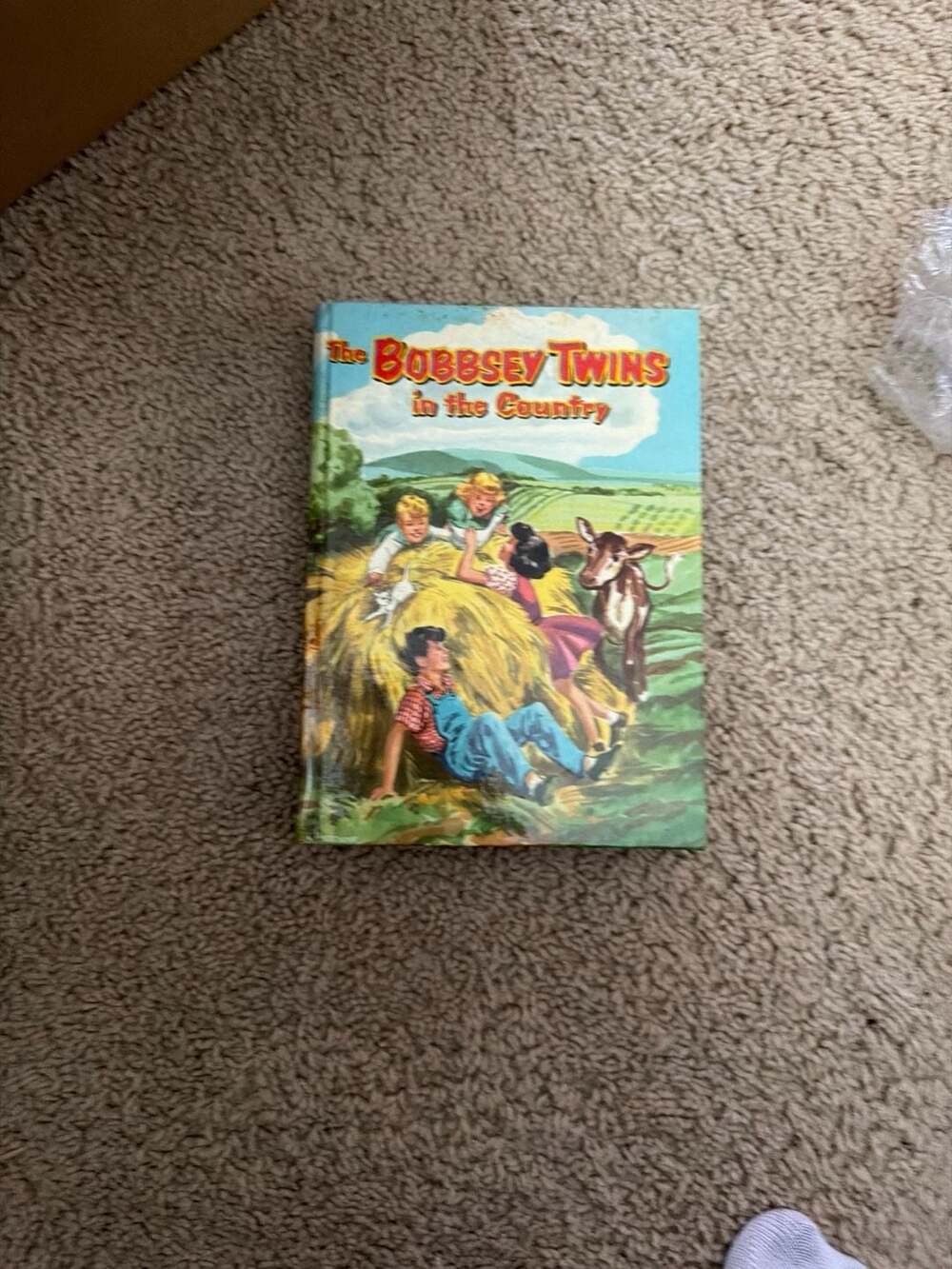Vintage Book Bobbsey Twins in the Country by Laura Lee Hope 1953 Whitman